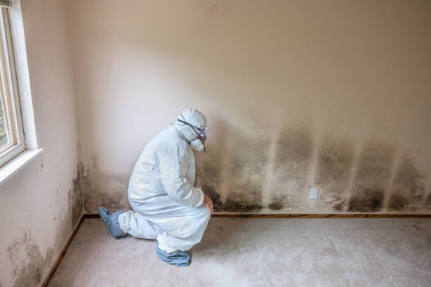 Best Residential Mold Inspection & Testing  in Adwolf, VA